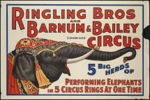 Ringling Brothers Ad