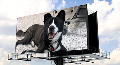 shelter_animal_billboard